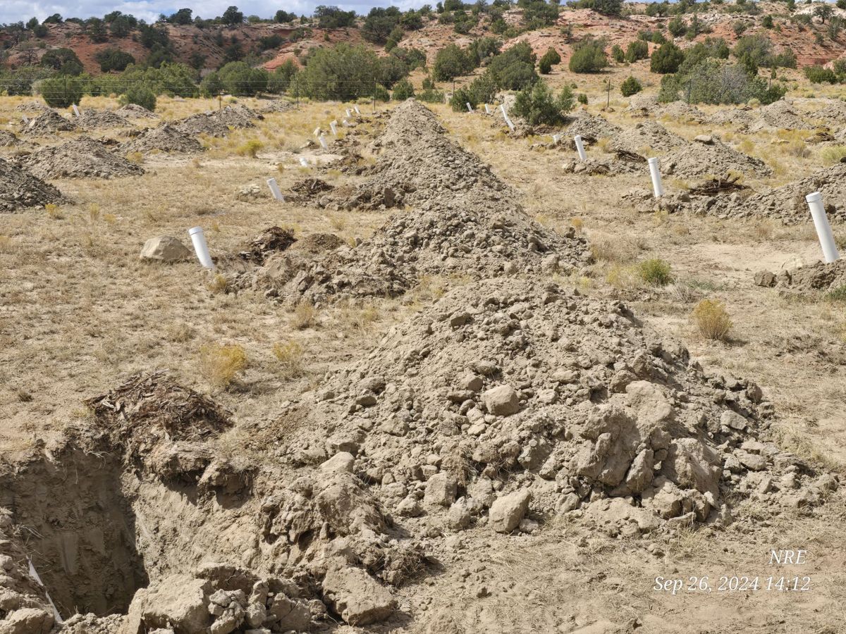 Rows of freshly dug planting holes with large mounds of soil beside each one and white PVC pipes set in the ground, juniper hills and red rock behind