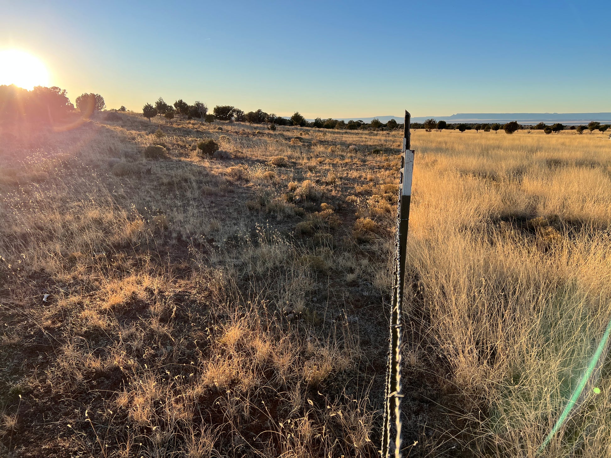 Navajo Nation Conservation Plan