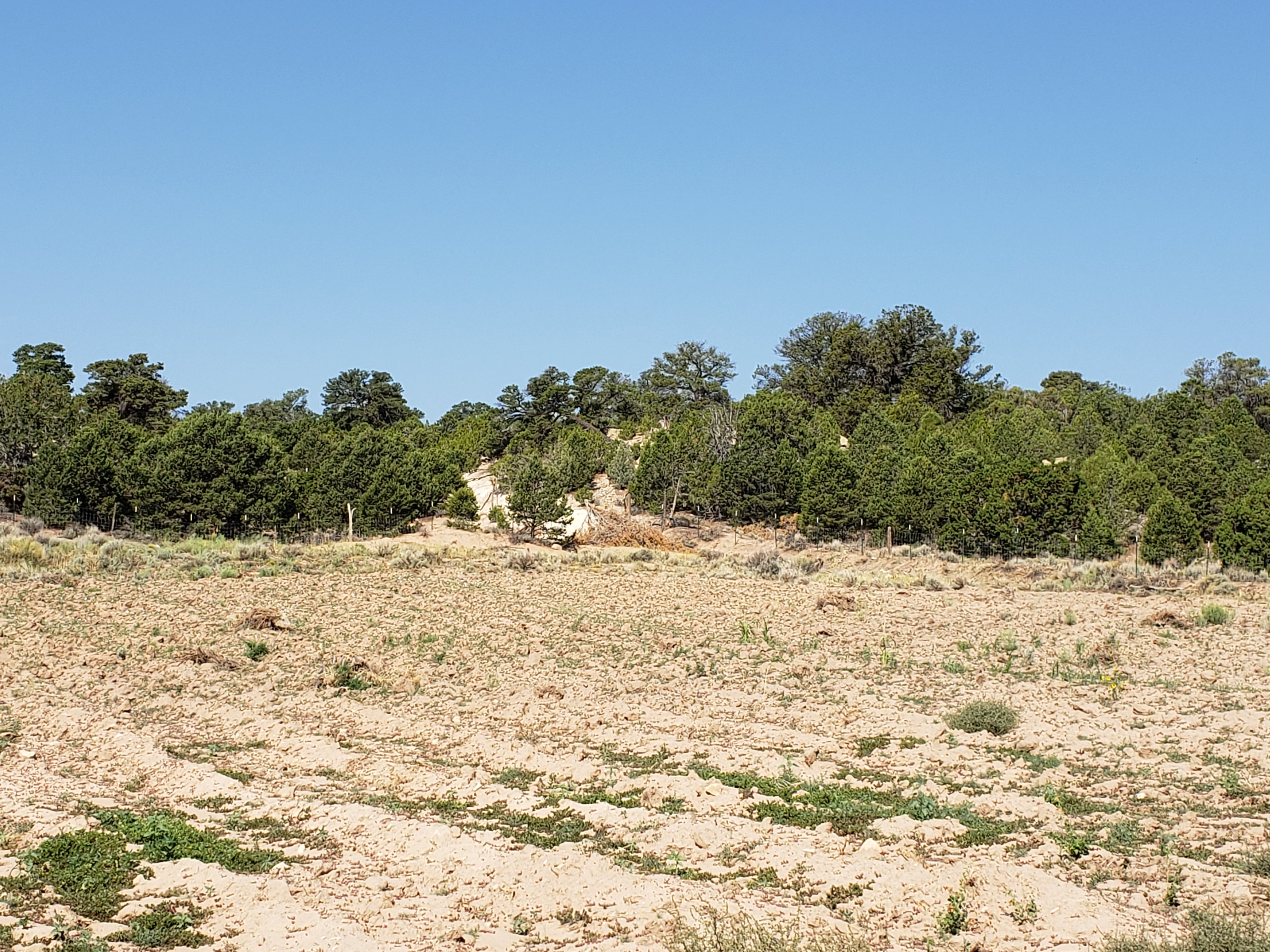 Farmland