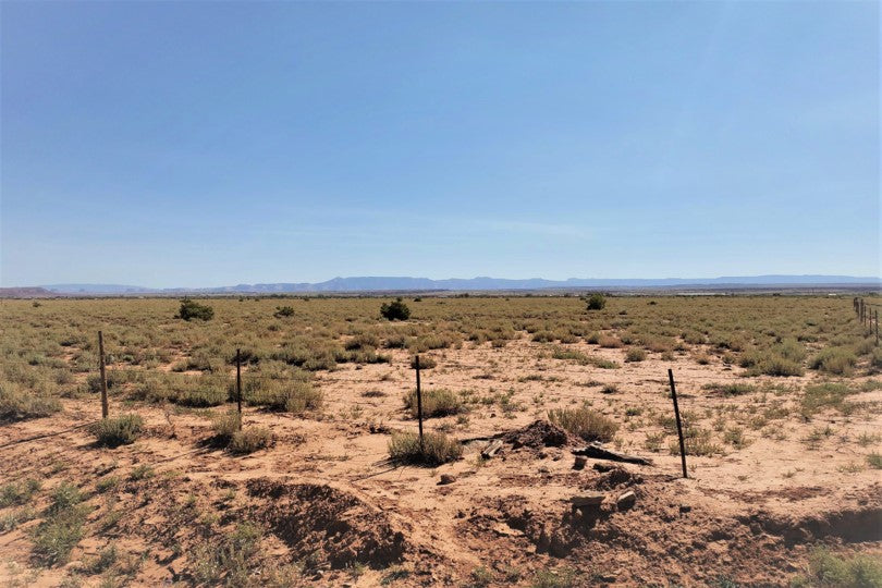 Many Farms Arizona Navajo Agriculture