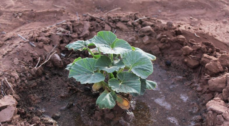 Farm field documentation