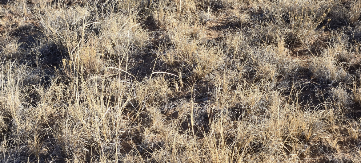 Rangeland documentation