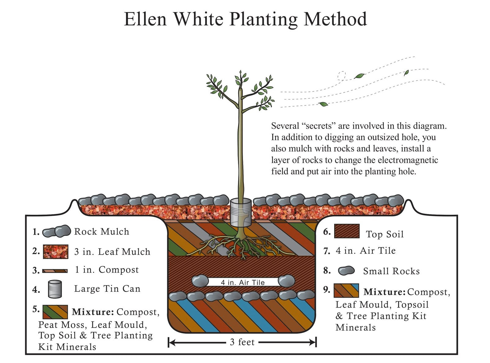 Diagram of the Ellen White planting method: a three foot wide hole layered from the bottom with a compost and mineral mix, small rocks and a 4 inch air tile, topsoil, a root zone mix, a tin can around the trunk, compost, leaf mulch and rock mulch on top