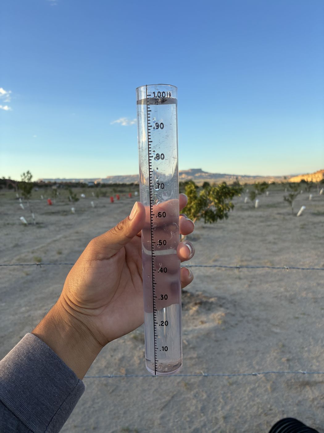 A rain gauge filled close to one inch, held up in front of the orchard rows and the mesa